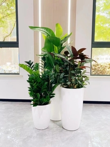 想租奉化花木？这家的好超乎你的想象！